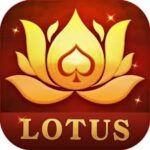 Teen Patti Lotus